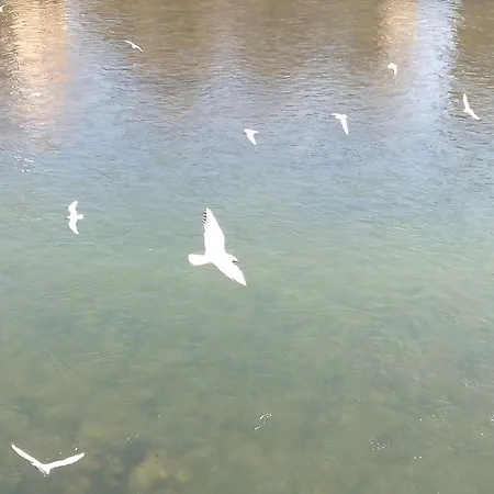 Affittacamere Ai Gabbiani Verona