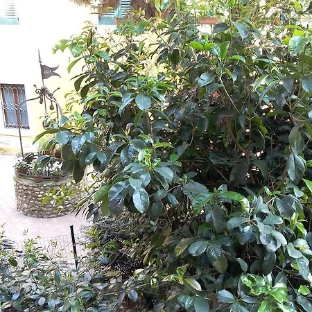Ai Gabbiani * Verona